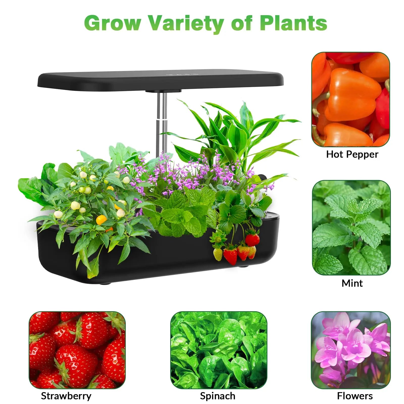 12-Pod Indoor Hydroponic Growing System – Smart Herb Garden with LED Grow Light