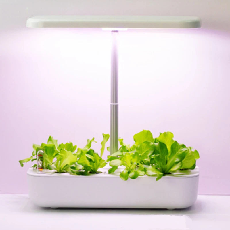 12-Pod Indoor Hydroponic Growing System – Smart Herb Garden with LED Grow Light